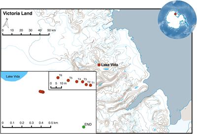 Actinobacteria and Cyanobacteria Diversity in Terrestrial Antarctic Microenvironments Evaluated by Culture-Dependent and Independent Methods